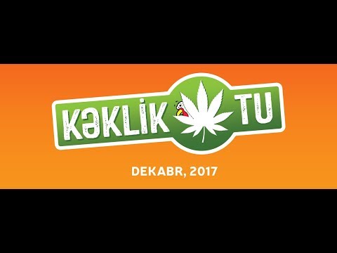 Kəklikotu - Trailer (21 Dekabrdan)