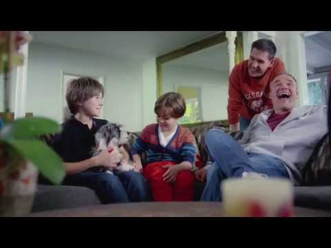 Sox - A Family's Best Friend - Trailer