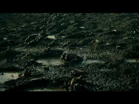 PASSCHENDAELE MOVIE TRAILER - NEW