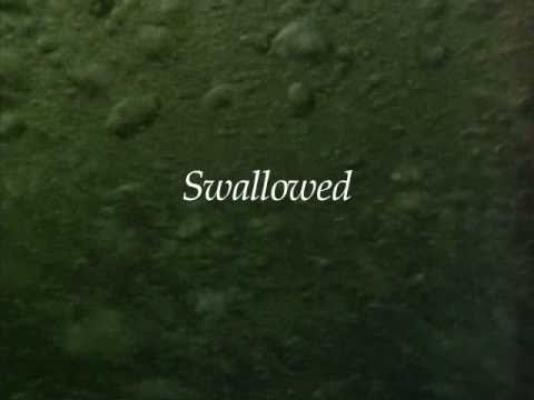 Swallowed