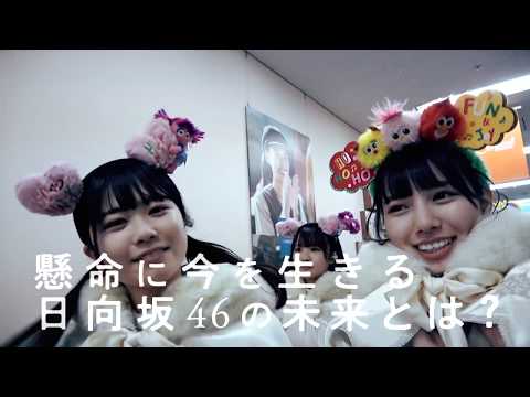 特報『日向坂46ドキュメンタリー映画』