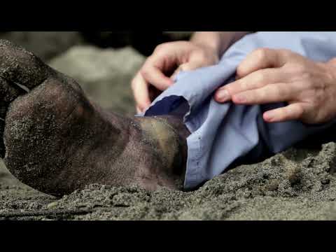 Survivor Type (Kevin Fisk) 2013 - Trailer