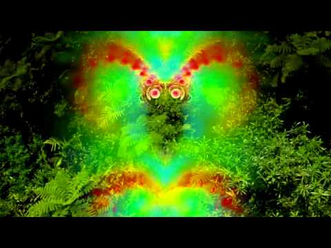 TRAILER: Terence McKenna's True Hallucinations