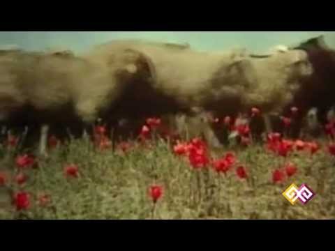 Фильм "Молитва Лейлы" - 21.06.15