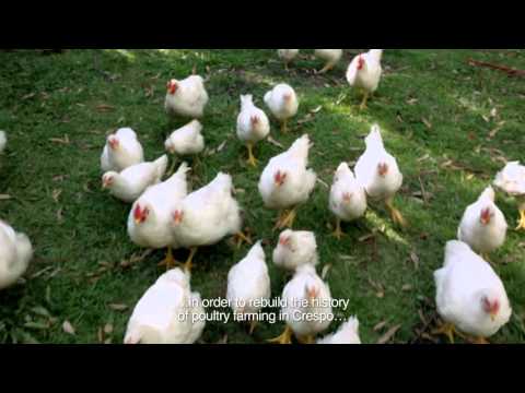 'Crespo (La continuidad de la memoria)', de Eduardo Crespo - Trailer