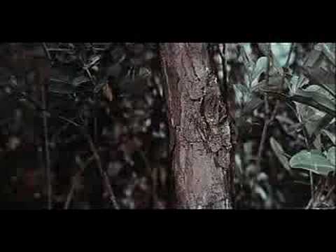 "Knight Errant" Trailer