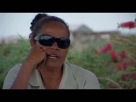 Message from Mungo - Trailer