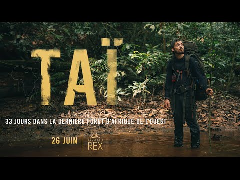 33 Jours pour survivre en Jungle Africaine (Mon premier film !!)