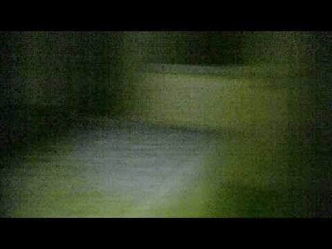 1013 Briar Lane Trailer