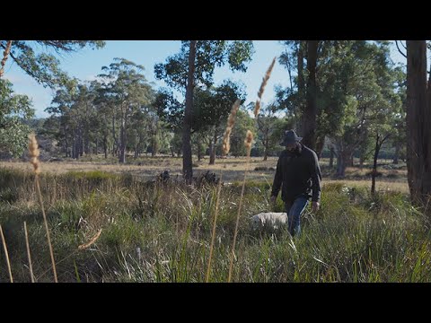 Burnt Country (2024) - Official Trailer