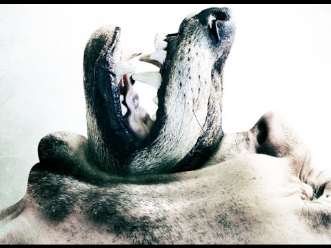 WOLF HOUSE - OFFICIAL MOVIE TRAILER