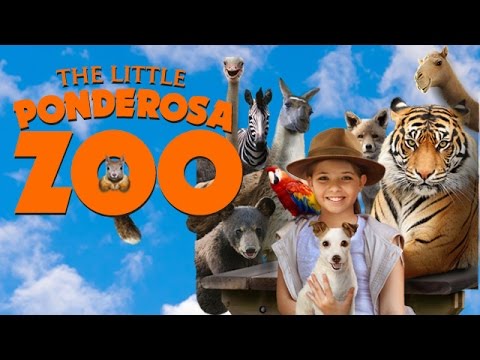 The Little Ponderosa Zoo - Dove Approved Family Feature Film - Trailer