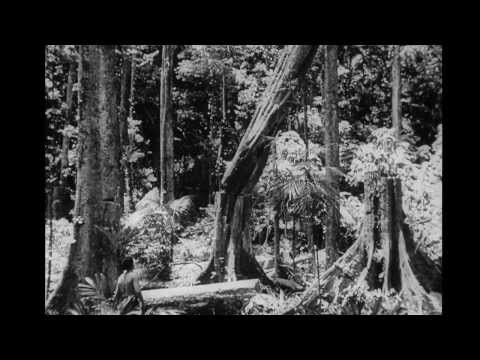 Sons Of Matthew Trailer