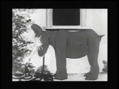 Winsor McCay's: Dreams of the Rarebit Fiend - The Pet (1921)