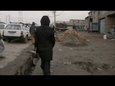 A Dog Called Money (Trailer @ CPH:DOX 2019)