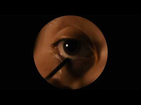 Leda en el Elevador / Leda in the Elevator