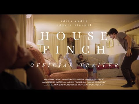 House Finch - Disability SHORT FILM Teaser (Adjoa Andoh, Edward Bluemel)