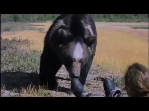 Karu süda (2001) - Eesti filmiklassika