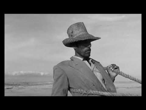 Tráiler de "Araya", de Margot Benacerraf en Ambulante 2012 | Enfoque