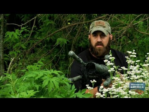 Catching Monsters With a Net Gun | Swamp Monsters