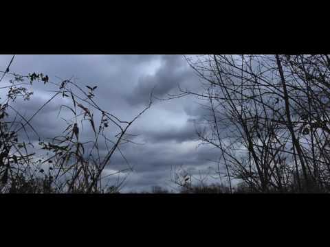 The Mothman of Point Pleasant (2017 documentary) Teaser