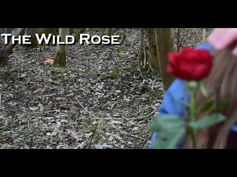 The Wild Rose - Short Film