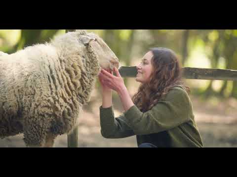 "CARNE - The unsustainable Footprint" TRAILER