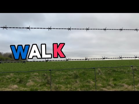 WALK 2024 Experimental Short Film