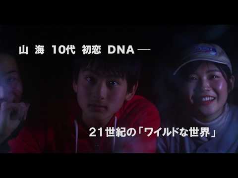 映画『ワイルドツアー』予告編