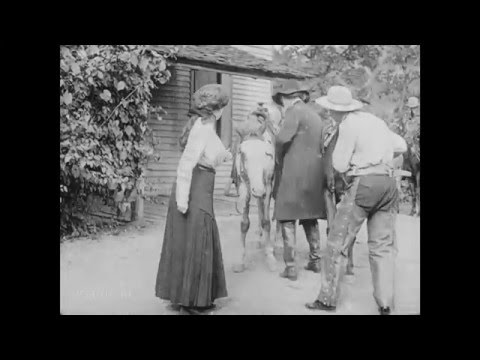 The Mystery of Lonely Gulch