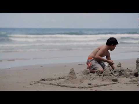 Trailer: In April the Following Year, There Was a Fire