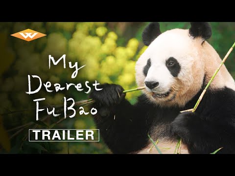 Official Trailer [Subtitled]