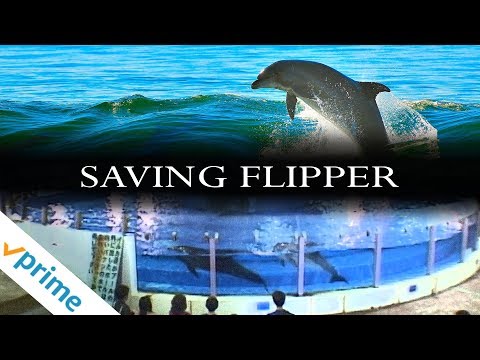 Saving Flipper | Trailer | Available Now