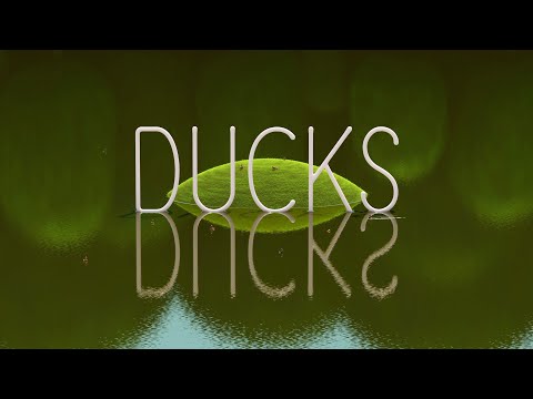 DUCKS | Short Film | Teaser Trailer