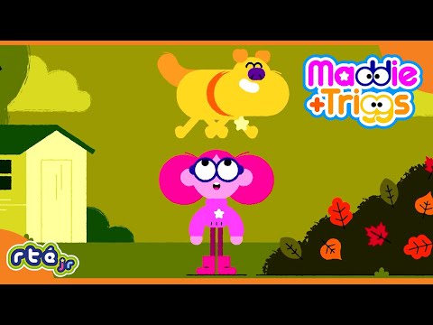 Music and Adventure with Maddie + Triggs 🎶🐶 | Streaming Now!