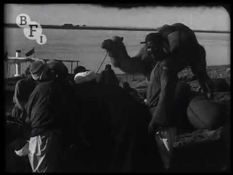 Tut-ankh Amen's Tomb (1923) | BFI