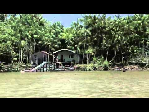 Amazonia desconhecida Trailer