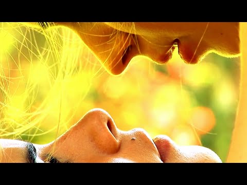 UNIVERSO SERVILLETA / trailer