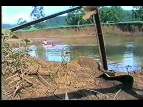 Primitivismo Kanibaru na Lama da Tecnologia Catódica