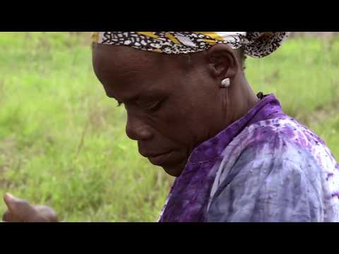 NOME DE BATISMO – ALICE  |  NAME OF BAPTISM - ALICE  [ Competição Brasileira: Curtas ]