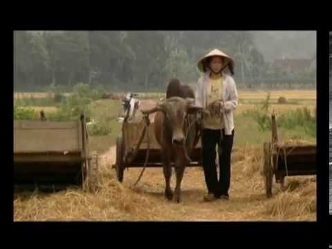 Teaser Documental Diario Vietnam