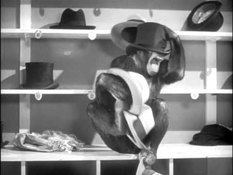 Tarzan's New York Adventure Official Trailer #1 - Virginia Grey Movie (1942) HD