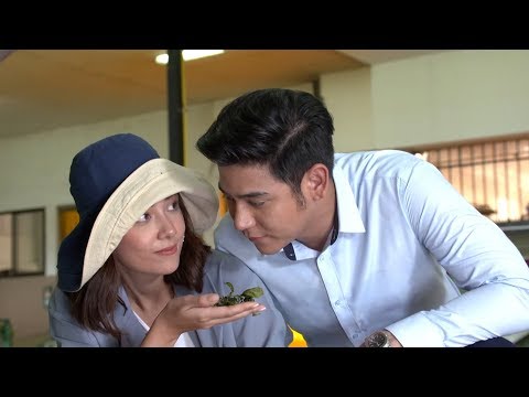 สุภาพบุรุษชาวดิน [Official Trailer]