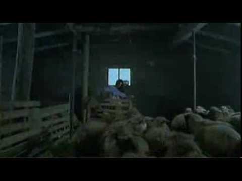 Vodka lemon - Trailer OV STFR