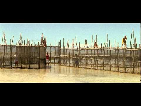 Trailer "Sem Coração" - Mostra competitiva - Festival de Brasília do Cinema Brasileiro