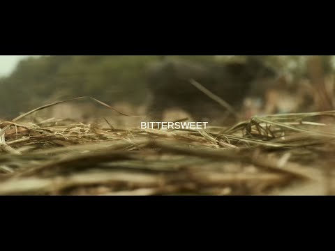 #BIFF2020 A Window on Asian Cinema - Bittersweet / 아시아 영화의 창 - 사탕수수의 맛