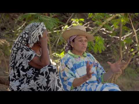 Territorio Puloui (Trailer)