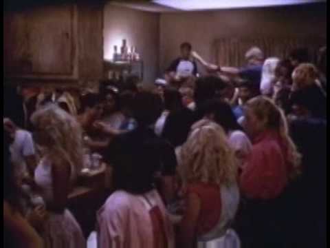 The Wild Life (1984)