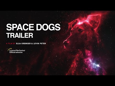 SPACE  DOGS | Teaser | Trailer | a film by Elsa Kremser & Levin Peter (2019)