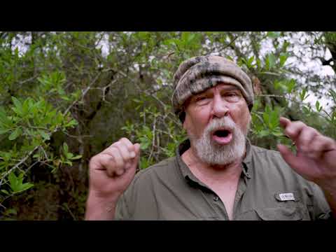 Bigfoot prophecy  For those that believe